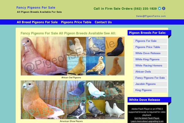 Smallbiz theme site design template sample