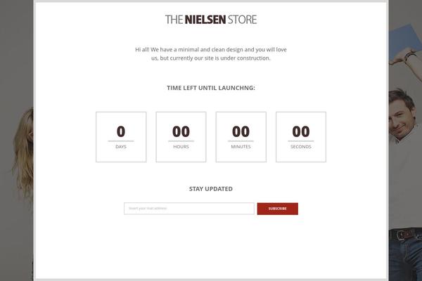 Nielsen theme site design template sample