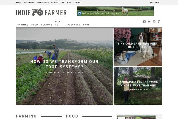 15Zine Child theme site design template sample