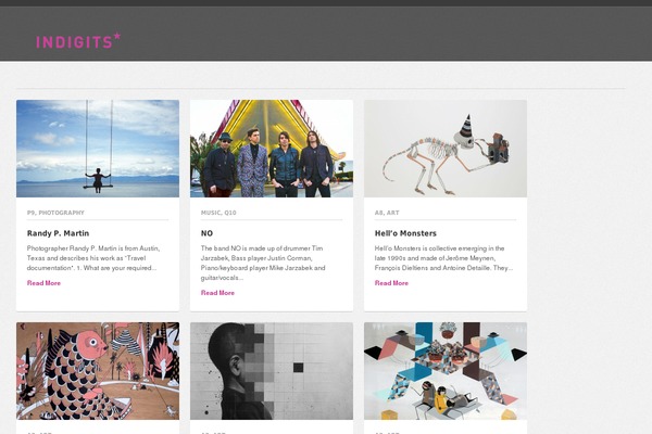 Pinbin theme site design template sample