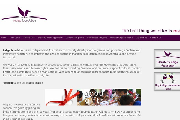 DonateNow theme site design template sample