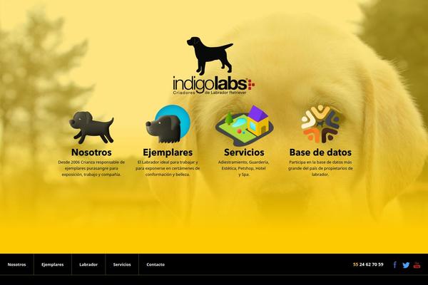 Indigo theme site design template sample