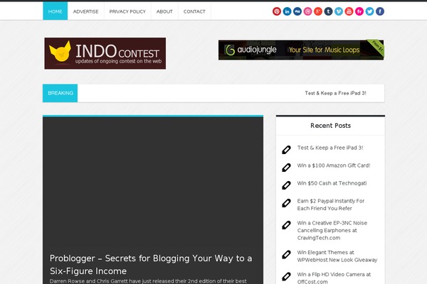 Apollo theme site design template sample