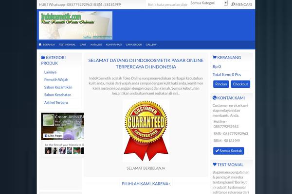 indostore5.0 theme websites examples