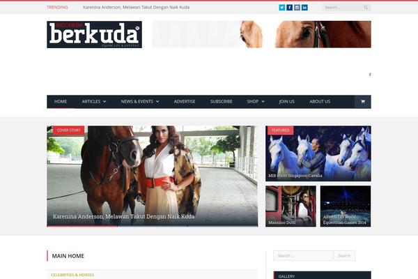 SmartMag theme site design template sample