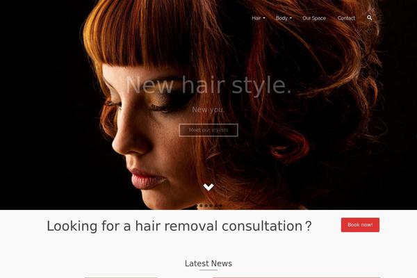 Pinnacle Premium theme site design template sample