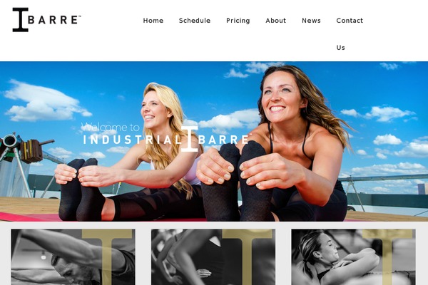 FitPro theme site design template sample