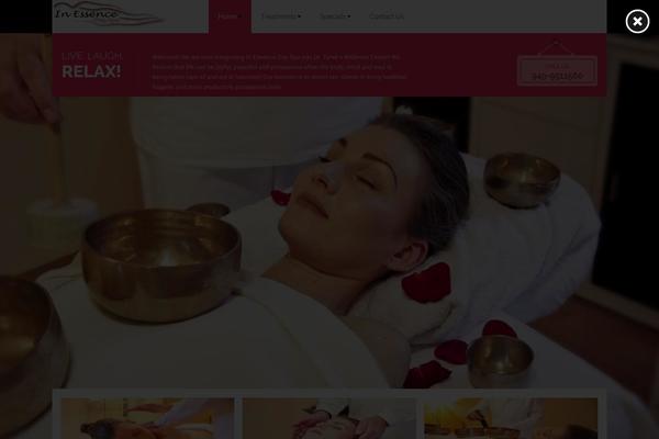 Spasalon theme site design template sample