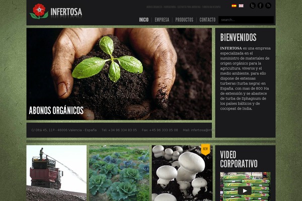 Big Easy theme site design template sample