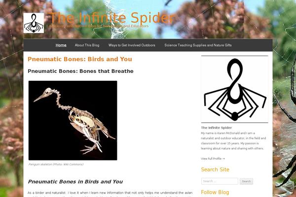 Tiny Forge theme site design template sample