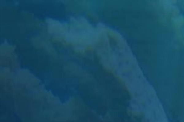 Jupiter Child theme site design template sample