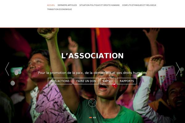 Site using Twenty Eleven Theme Extensions plugin