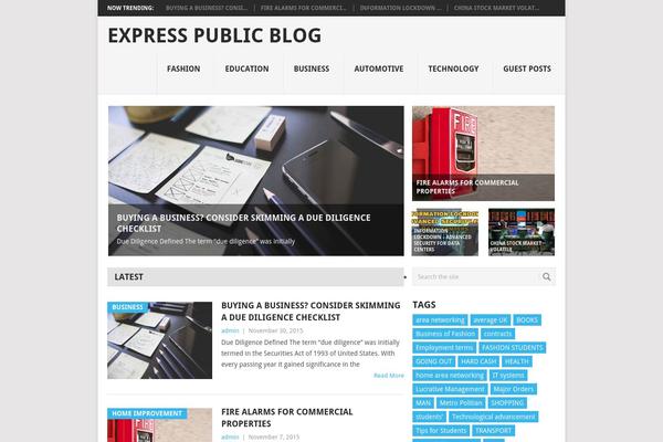 Point theme site design template sample