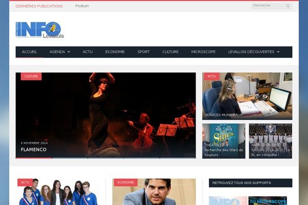 SmartMag theme site design template sample