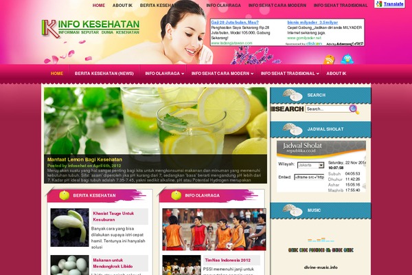 skinice WordPress theme, websites list used skinice theme skinice theme websites examples
