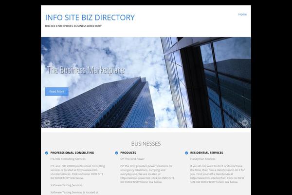 info-site.biz site used SKT Biz