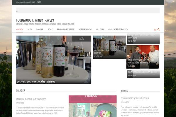 Accesspress-mag-pro theme site design template sample