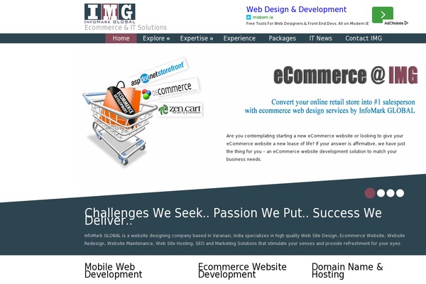 Envision theme site design template sample
