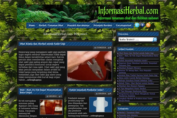 Albizia theme site design template sample