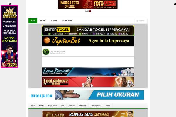Newswire theme site design template sample