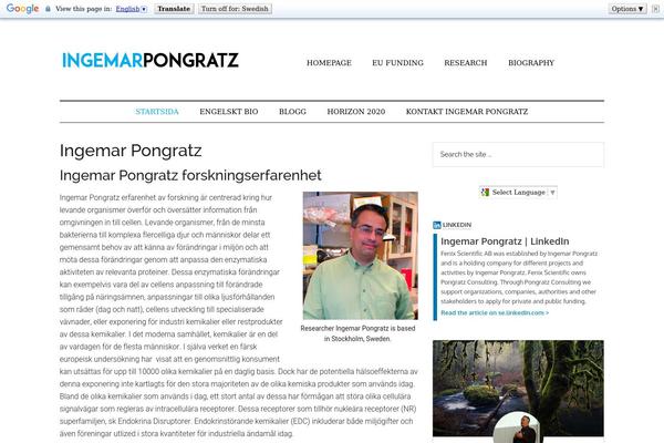 Magazine Pro theme site design template sample