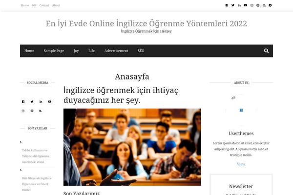 Ad-mania theme site design template sample