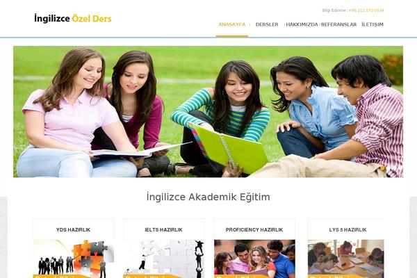 theme51989 theme websites examples