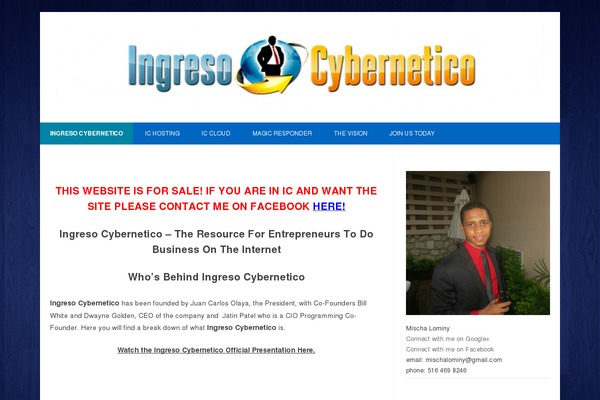 Interface theme site design template sample