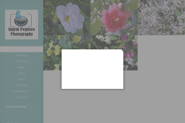 Site using Animated Twitter Bird plugin