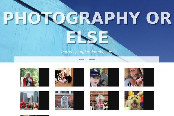 Snaps theme site design template sample