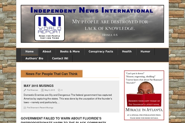 BrightNews theme site design template sample