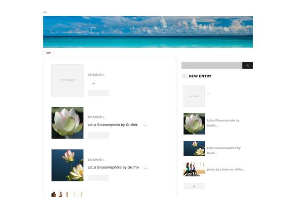 Stinger20130828 theme site design template sample