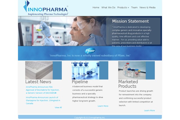Chameleon theme site design template sample