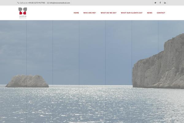 Apicona theme site design template sample