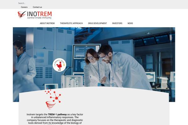 MF theme site design template sample
