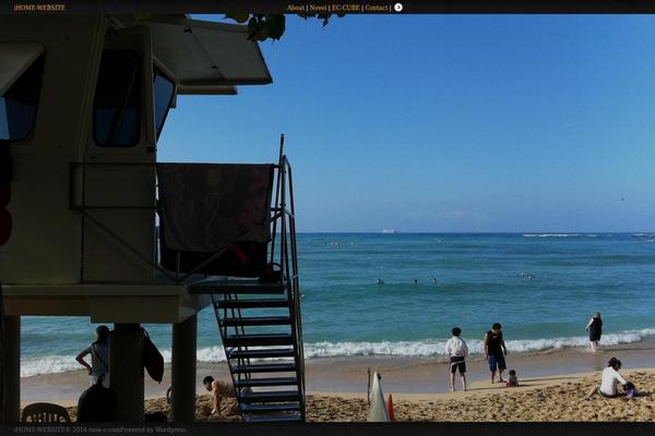 Fashionistas theme site design template sample