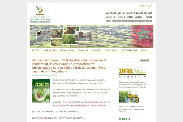 Standard theme site design template sample