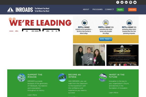 Pro theme site design template sample