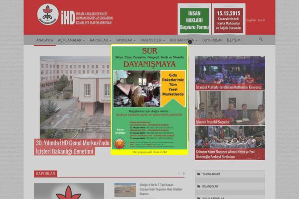 Newspaper theme site design template sample