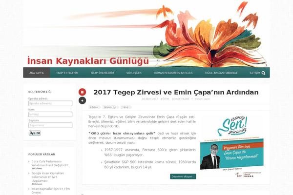Site using YouTube Embed plugin