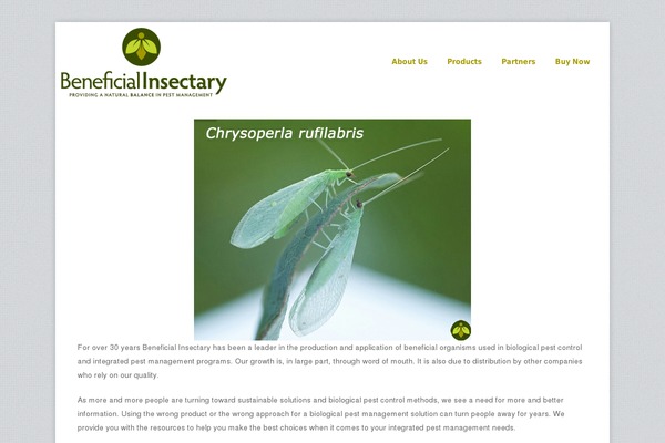Site using Author Box Reloaded plugin