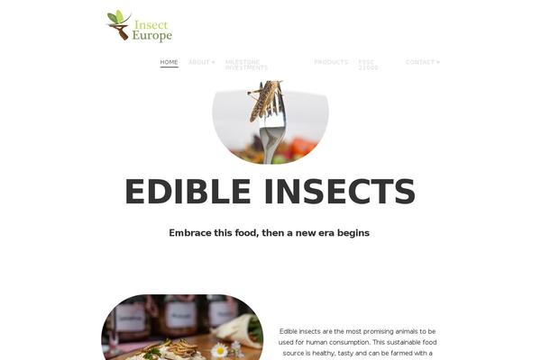 Site using Better Google Analytics plugin