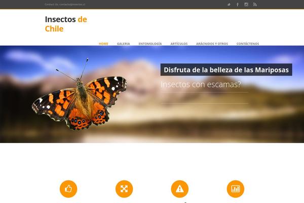 Honey theme site design template sample