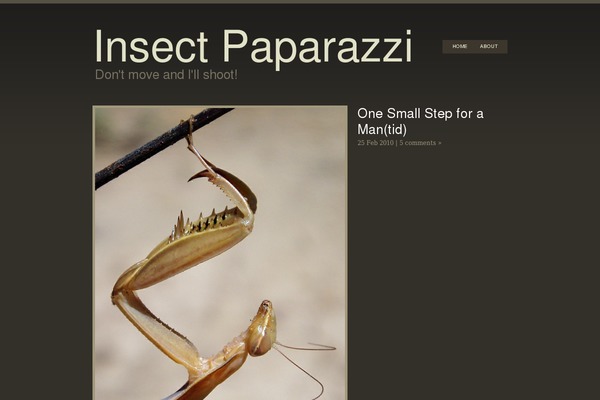 insectpaparazzi.com site used Linquist