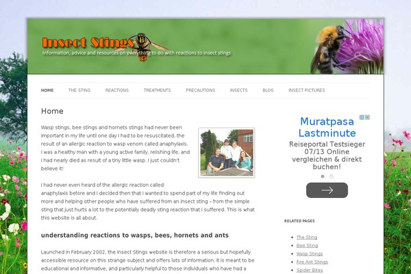 Site using Adsense Widget plugin