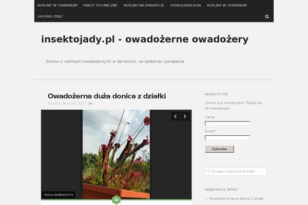 Anew theme site design template sample