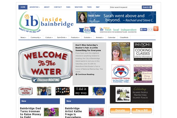 WmdTheme theme websites examples