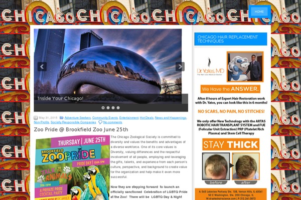 insideyourchicago.com site used Termio