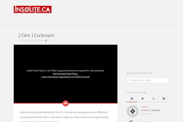 Anew theme site design template sample