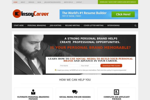 SteadyIncome theme site design template sample